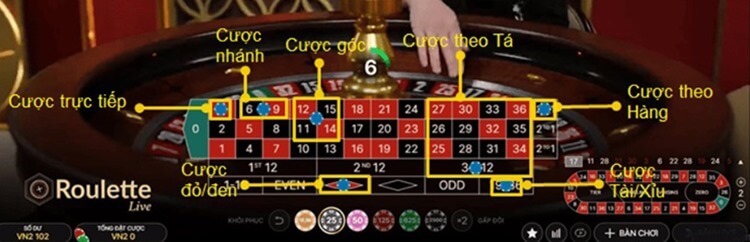 Các loại cược và vị trí đặt chip cược roulette