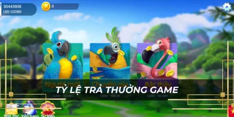 cấp độ trong game 